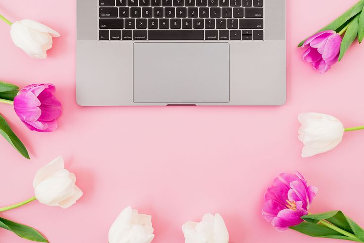 Virtual assistant portfolio for beginners with no experience in 2025